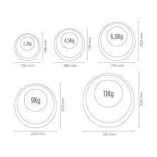 Xiaomi Fed Kettlebell pesa rusa de diseño 2,2 kgs