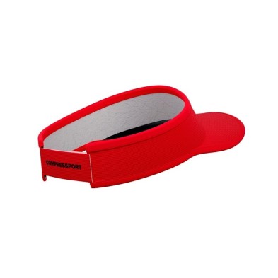 Visera