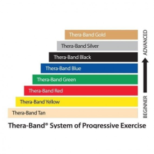 Bandas Elásticas - 12.7cmx1,5m