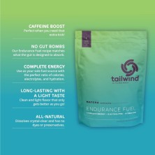 Tailwind Nutrition Endurance Fuel 1350g te matcha con cafeina