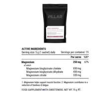 Triple Magnesium Performance Recovery 200 gr Frutos del Bosque pillar performance