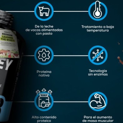 Iso Whey Zero Biotech Lactose Reduced proteína en polvo 500gr Chocolate características