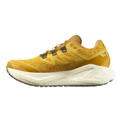 Zapatillas Salomon Aero Glide 3 Grvl hombre Spicy Mustard/ Vanilla Ice/ Deep Lichen Green para saltar del asfalto a la grava