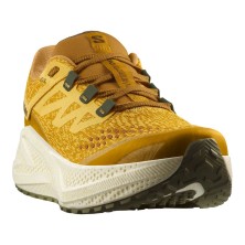 Zapatillas Salomon Aero Glide 3 Grvl hombre Spicy Mustard/ Vanilla Ice/ Deep Lichen Green