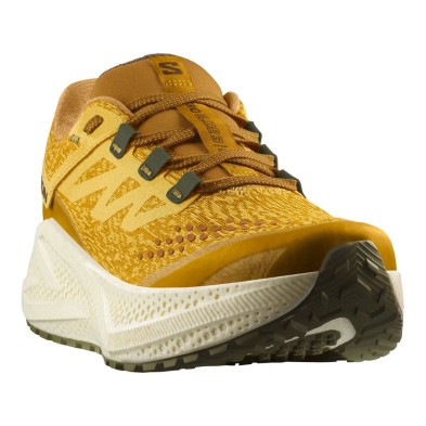 Zapatillas Salomon Aero Glide 3 Grvl hombre mostaza, vainilla, verde
