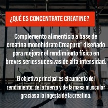 Powergym Concentrate Creatine creapure 150 gr sabor Neutro complemento alimenticio