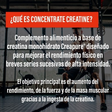 Powergym Concentrate Creatine creapure 150 gr sabor Neutro complemento alimenticio