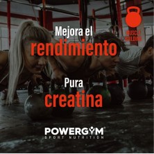 Powergym Concentrate Creatine creapure 150 gr Neutro