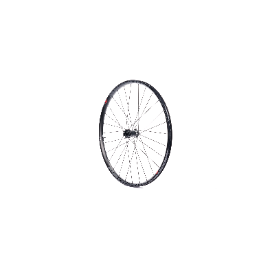 Rueda delantera EVO 29 Boost 15x110/12x148 Progress