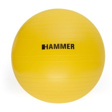 Pelota Gym Ball 55 cm Hammer Strength