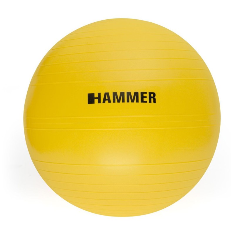 Pelota Gym Ball 55 cm Hammer Strength