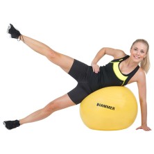 Pelota Gym Ball 55cm