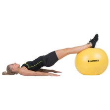 Pelota Gym Ball 55cm