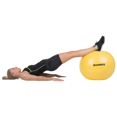 Pelota Gym Ball 55cm