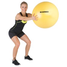 Pelota Gym Ball 55cm