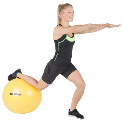 Pelota Gym Ball 55cm