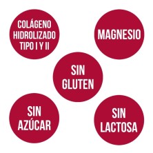 Ana Maria la Justicia Colágeno con Magnesio 350 gr