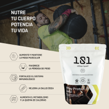 proteina whey lacprodan chocolate 101 other level