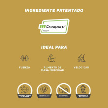 Creatina CreaPure Powder 280 gr Gold Nutrition ideal