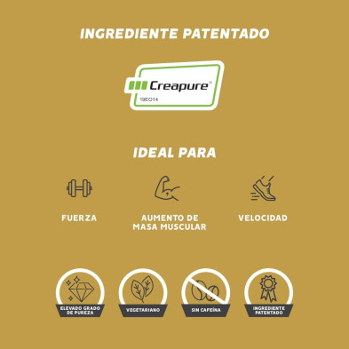 Creatina CreaPure Powder 280 gr Gold Nutrition ideal