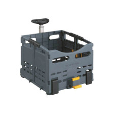 Cesta trasera para portabultos trolleytote