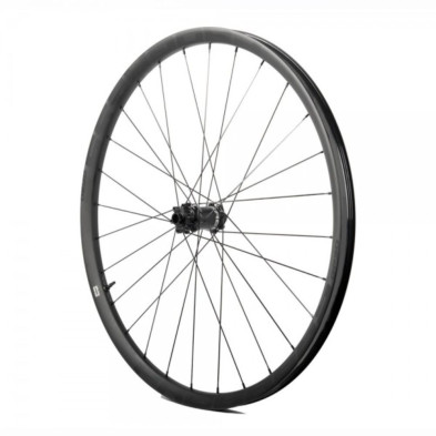 Rueda Delantera Progress GP30 29 Lefty 2.0/Spmax negra