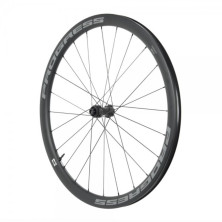 Rueda Delantera Progress Airspeed A38 Disc 12x100 Cubierta