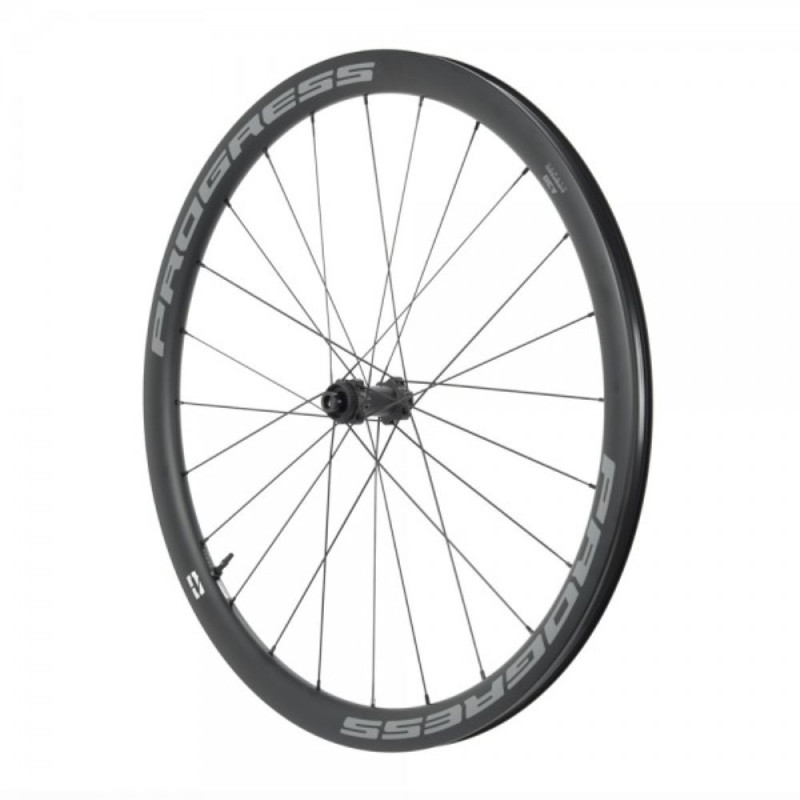 Rueda Delantera Progress Airspeed A38 Disc 12x100 Cubierta