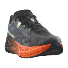 Zapatillas Salomon Aero Glide 4 Grvl hombre Urban Chic Black Lime Cream