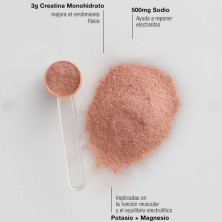 Monodosis Hydrazero Creatine bebida Hipotónica Lemon